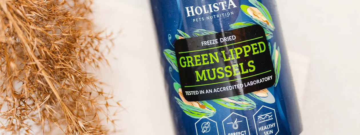 Małż nowozelandzki – naturalne wsparcie dla stawów psów i kotów