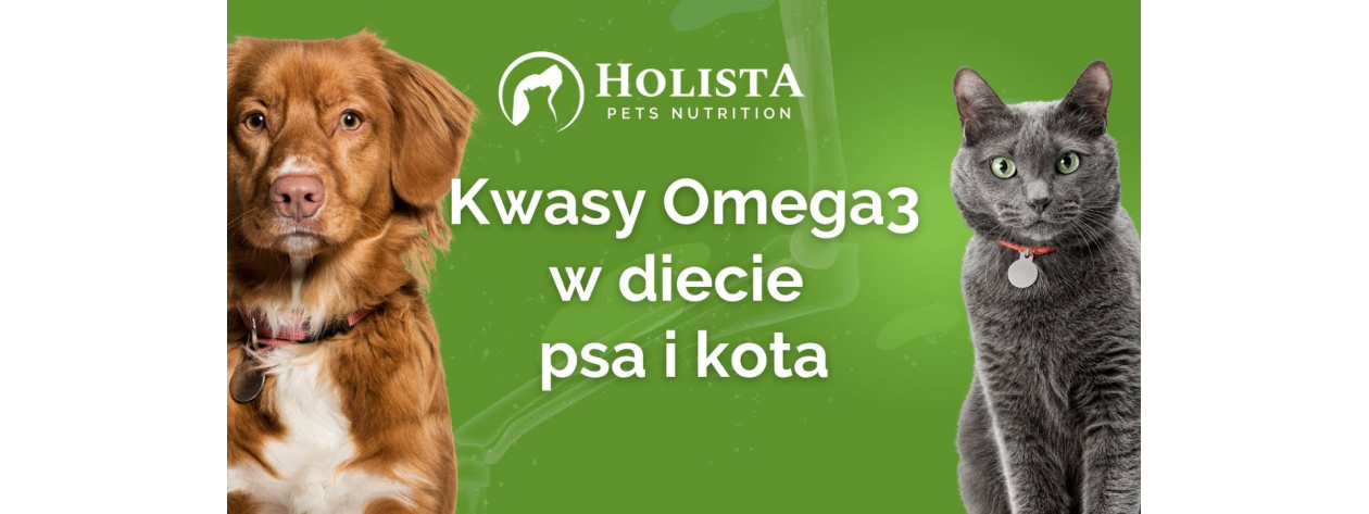Suplementy OMEGA-3 Dlaczego są niezbędne w diecie psa i kota?
