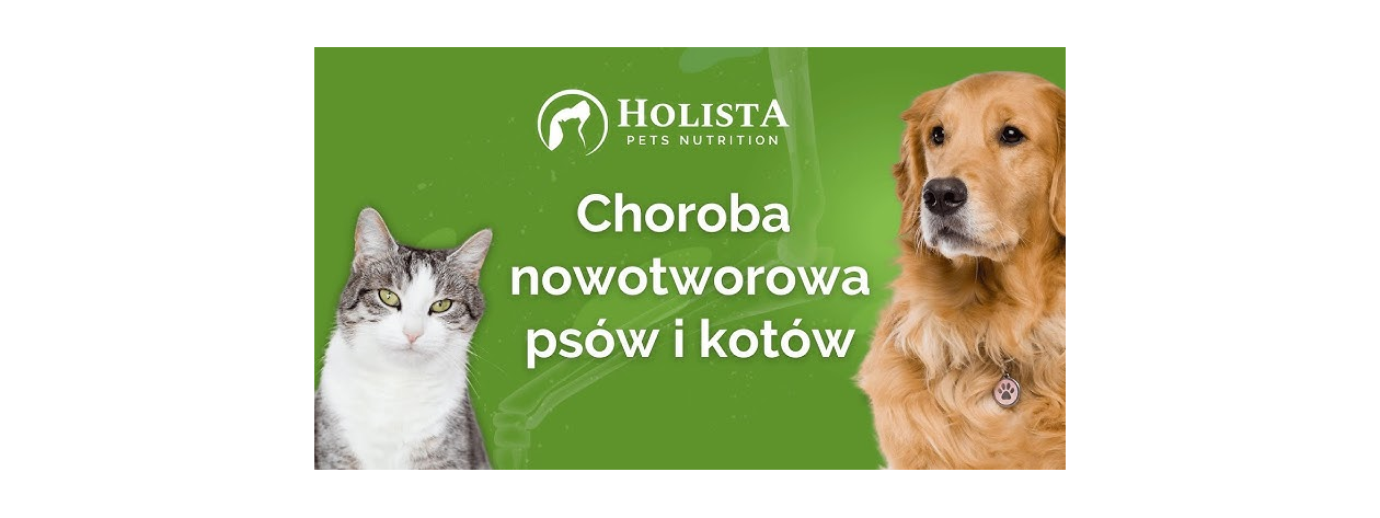 Choroba nowotworowa psów i kotów. Jak sobie z nią radzić?