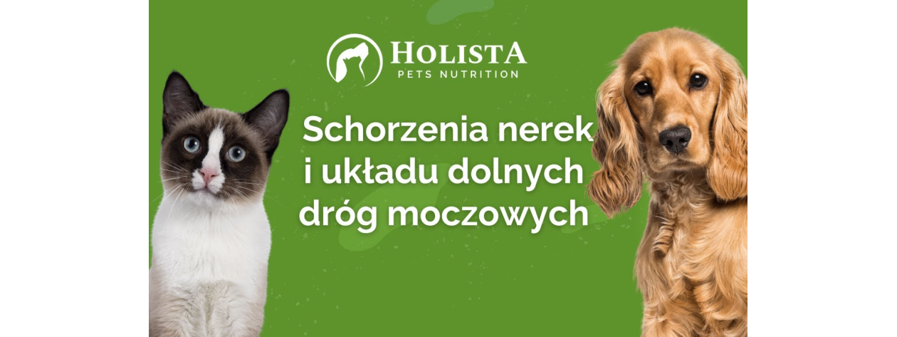 Schorzenia nerek i układu dólnych dróg moczowych u psa i kota