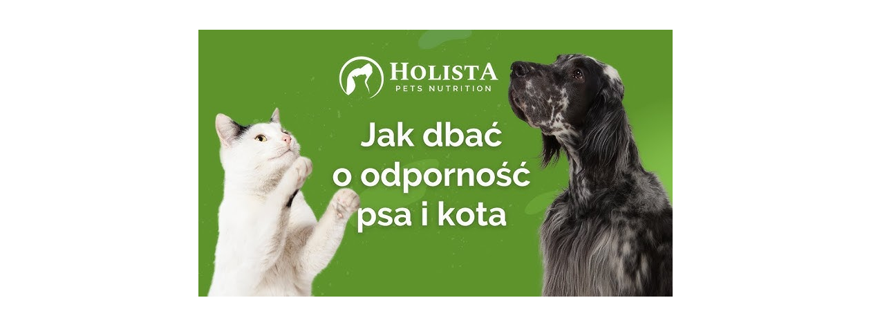 Jak zadbać o odporność psa i kota? Poznaj sprawdzone metody