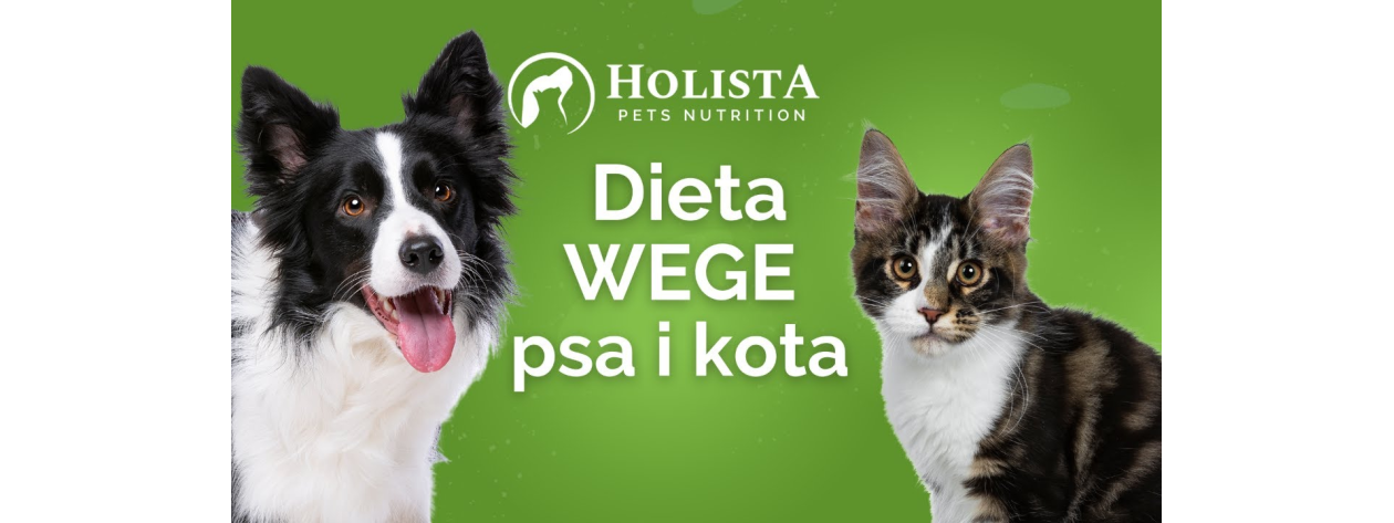 Dieta WEGE dla psa i kota - od czego zacząć?