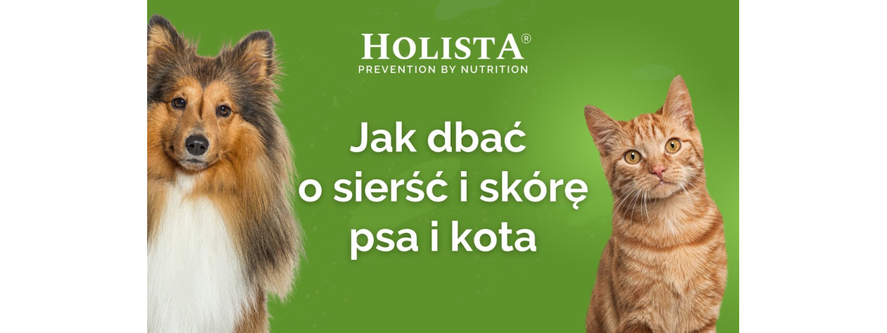 Jak dbać o sierść i skórę psa i kota?
