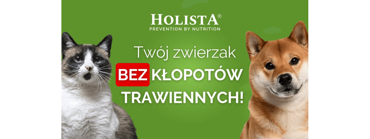 Jak dbać o sierść i skórę psa i kota?