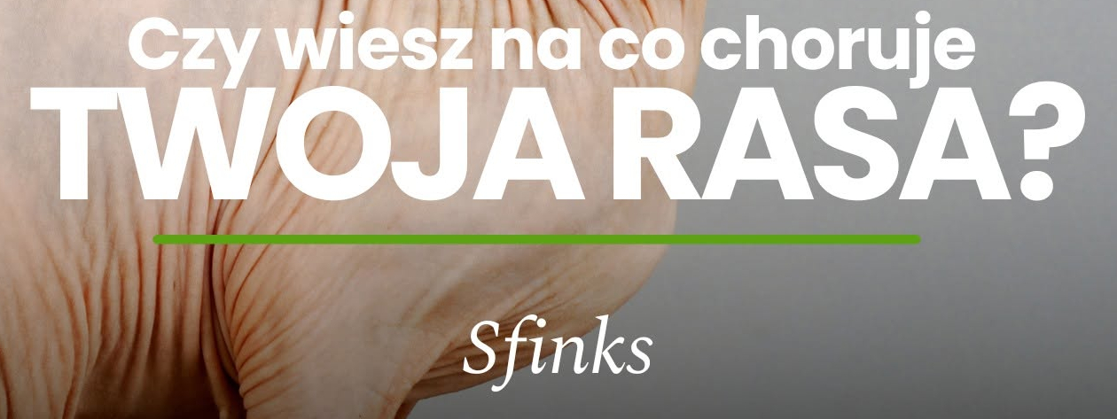 Sfinks kanadyjski: kot bez futra. Zdrowie, specyfika rasy i pielęgnacja