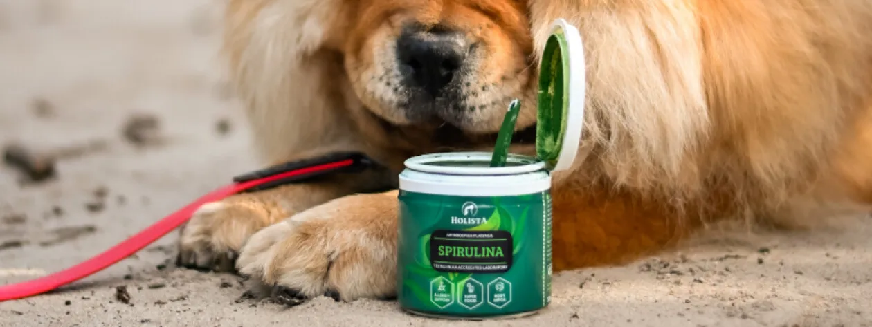 Spirulina w świetle badań naukowych 