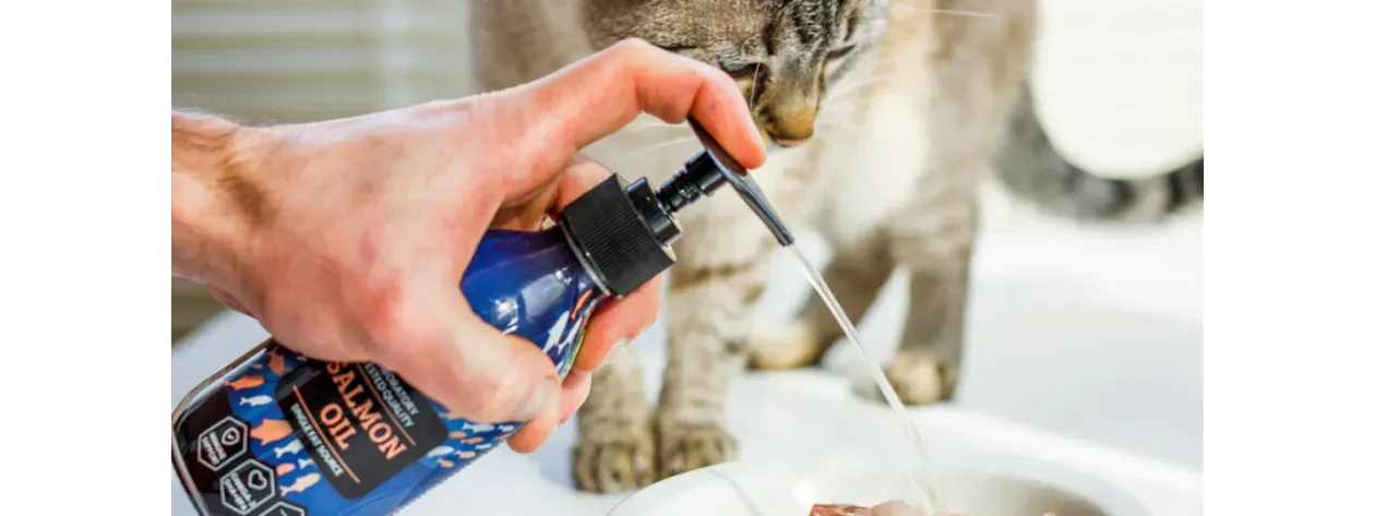 Kiedy zacząć podawać zwierzęciu suplementy diety?