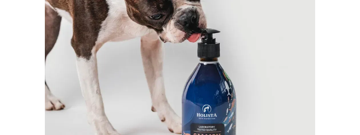 Jakie są korzyści ze stosowania suplementów diety dla psów i kotów?