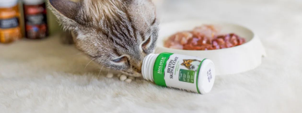 Biotyna - jak wpływa na sierść i skórę?