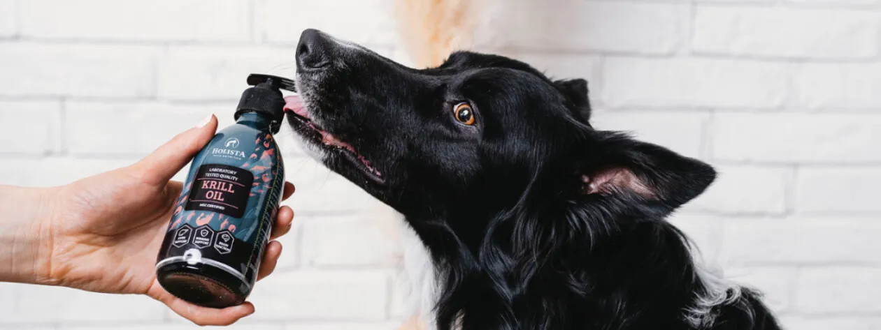 Jak dostarczyć kwasy omega-3, jeśli zwierzak ma uczulenie na ryby?