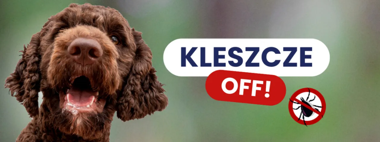 Naturalna ochrona i wsparcie odporności – czystek dla psów i kotów