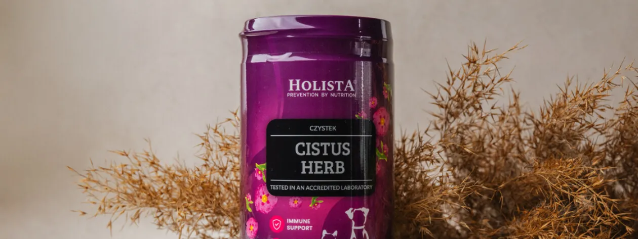 Naturalne wsparcie przeciwko pasożytom – czystek i inne zioła dla psa